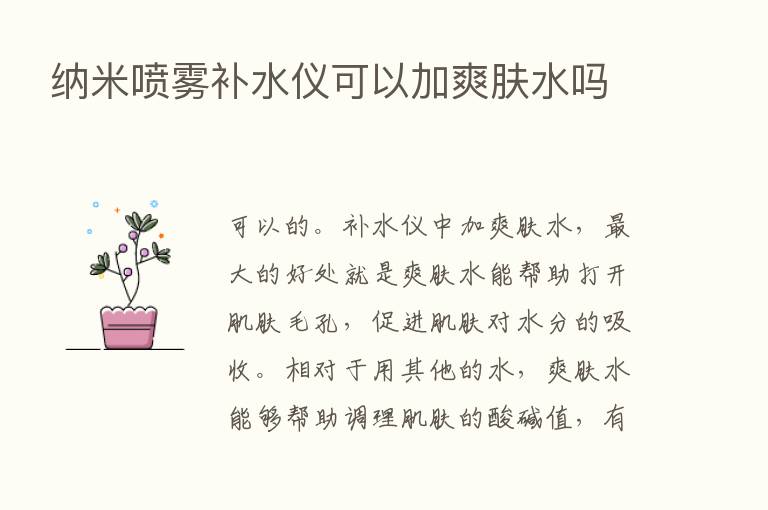 纳米喷雾补水仪可以加爽肤水吗