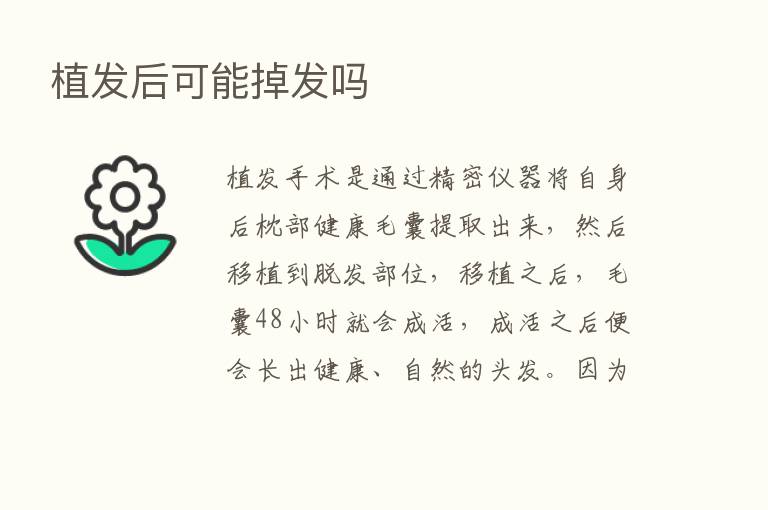 植发后可能掉发吗