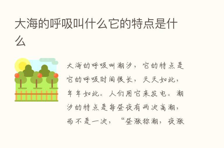 大海的呼吸叫什么它的特点是什么