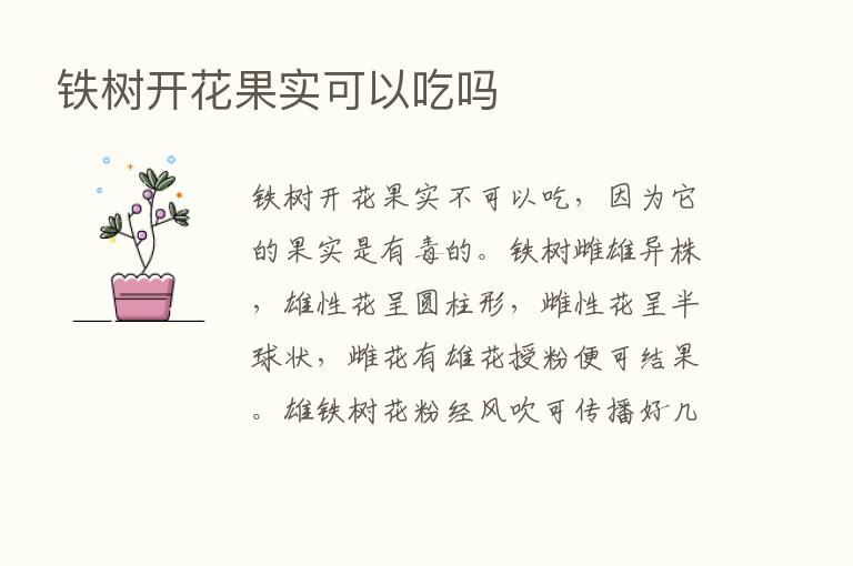 铁树开花果实可以吃吗