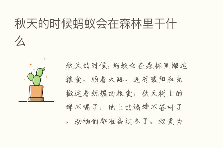 秋天的时候蚂蚁会在森林里干什么