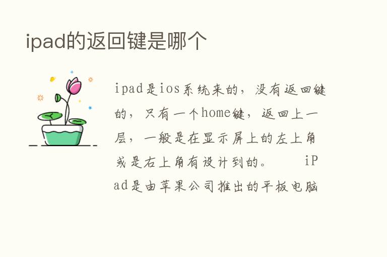 ipad的返回键是哪个