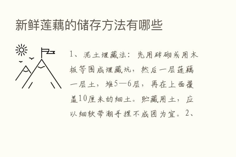 新鲜莲藕的储存方法有哪些