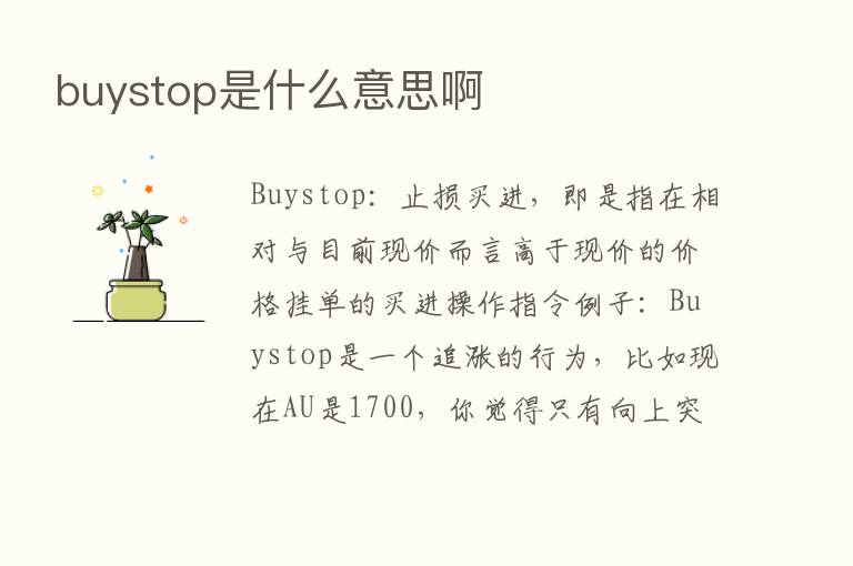 buystop是什么意思啊