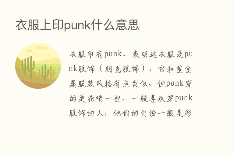 衣服上印punk什么意思