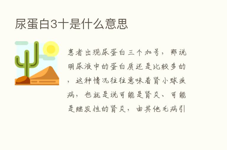 尿蛋白3十是什么意思