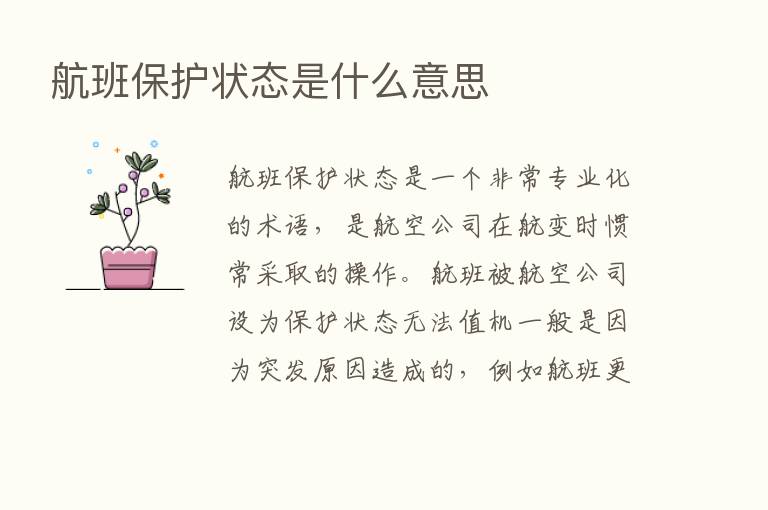 航班保护状态是什么意思