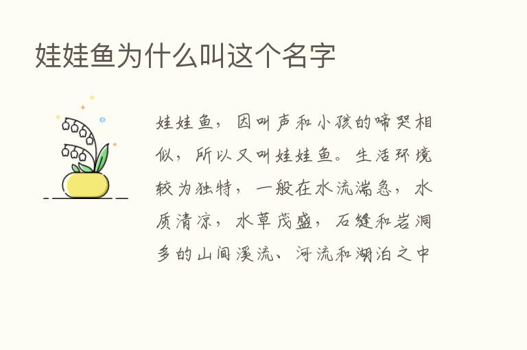 娃娃鱼为什么叫这个名字