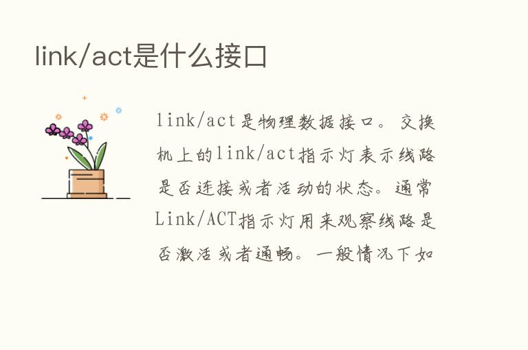 link/act是什么接口