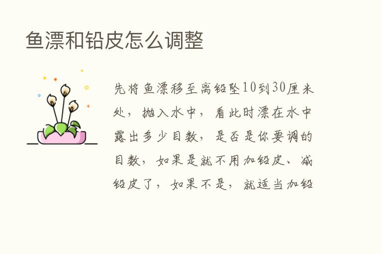 鱼漂和铅皮怎么调整