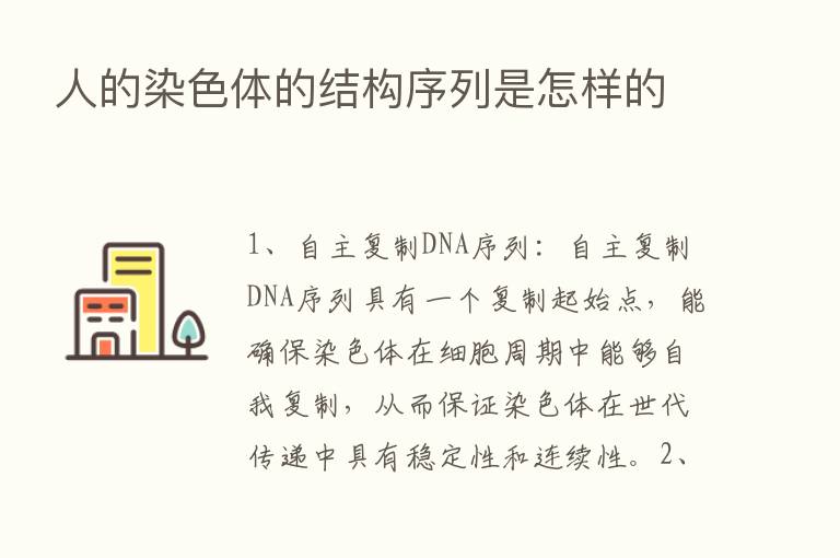 人的染色体的结构序列是怎样的