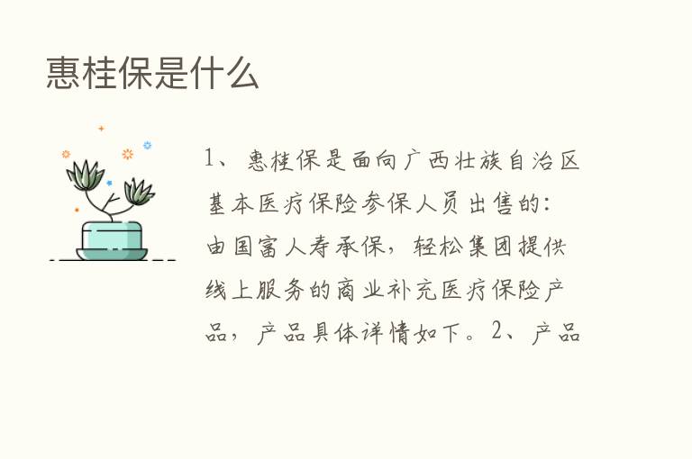 惠桂保是什么