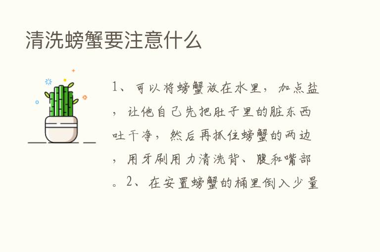 清洗螃蟹要注意什么