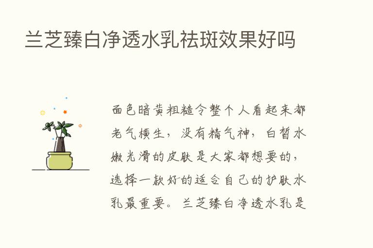 兰芝臻白净透水乳祛斑效果好吗