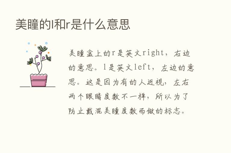 美瞳的l和r是什么意思