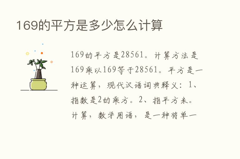 169的平方是多少怎么计算