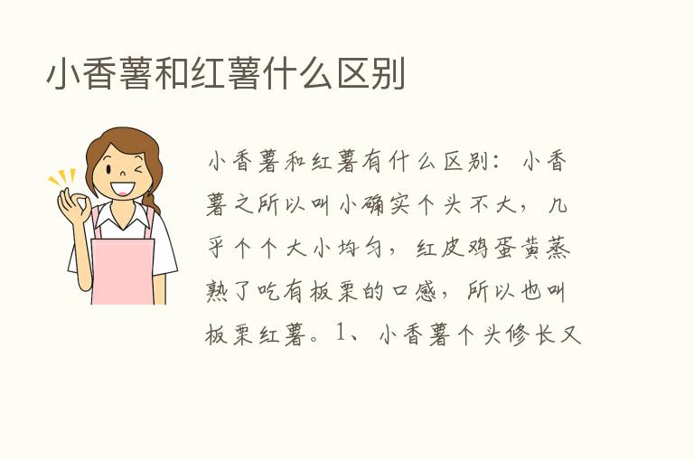 小香薯和红薯什么区别