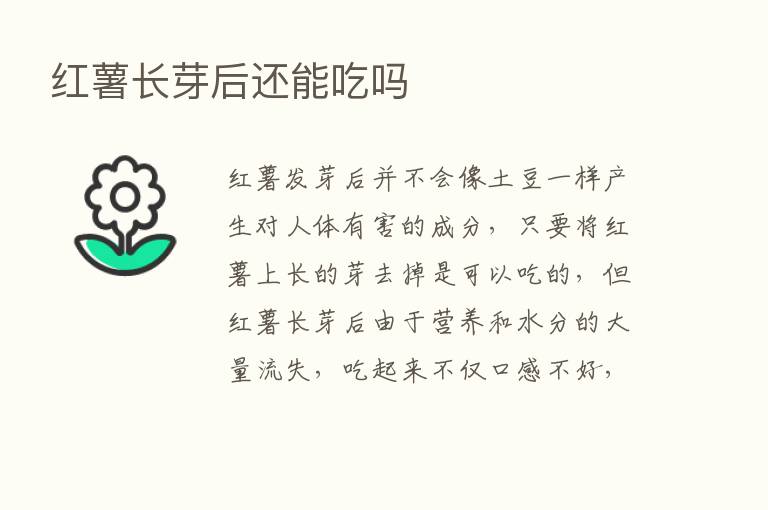 红薯长芽后还能吃吗