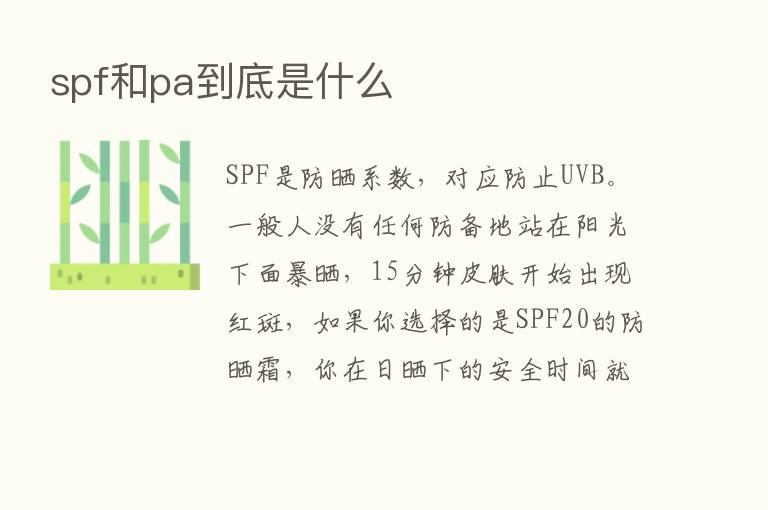 spf和pa到底是什么