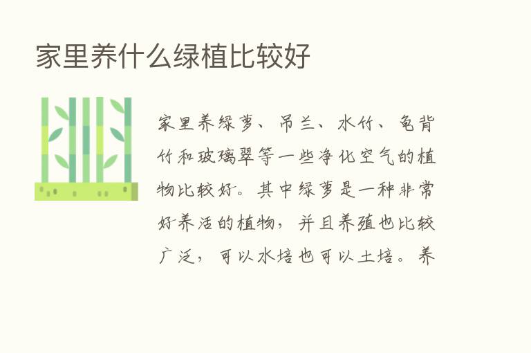 家里养什么绿植比较好