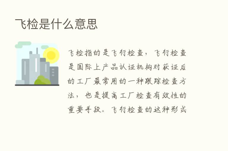 飞检是什么意思