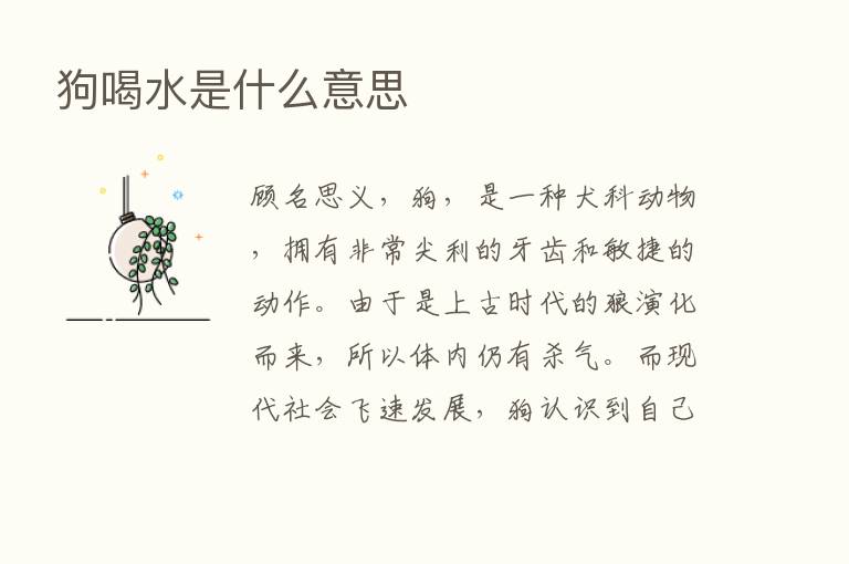 狗喝水是什么意思