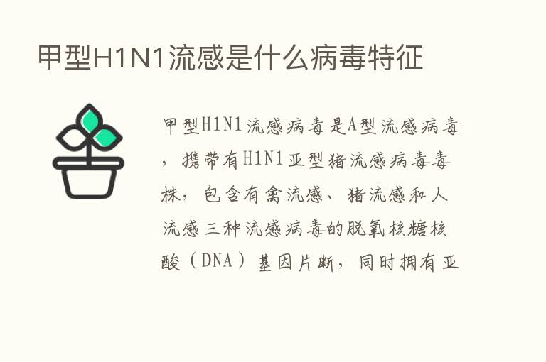 甲型H1N1流感是什么病毒特征