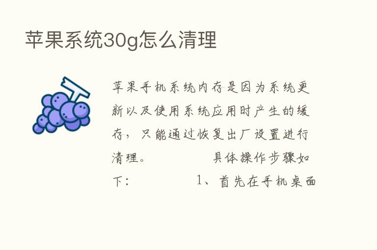 苹果系统30g怎么清理