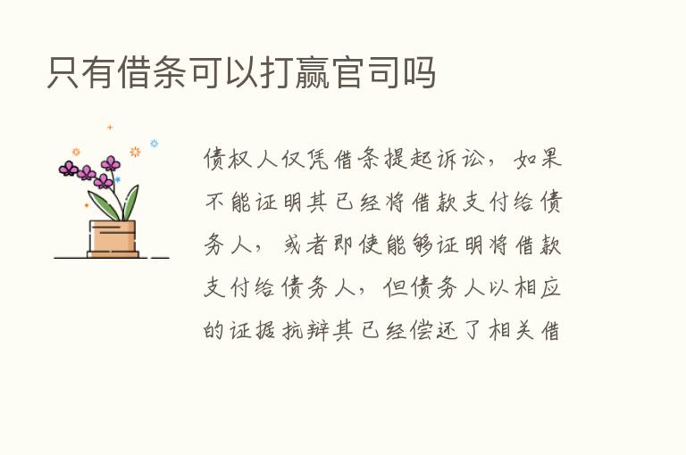 只有借条可以打赢官司吗