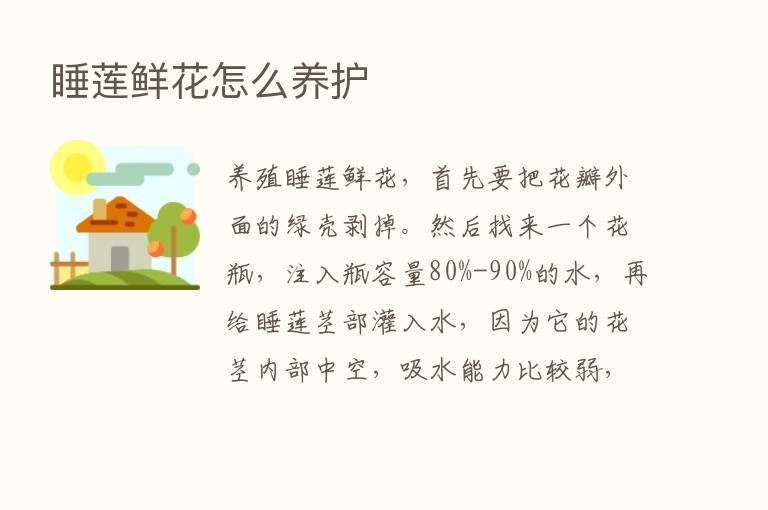 睡莲鲜花怎么养护