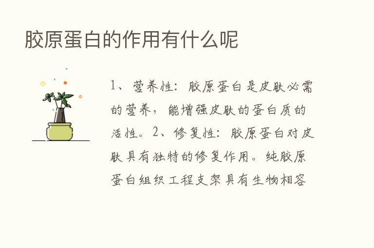 胶原蛋白的作用有什么呢