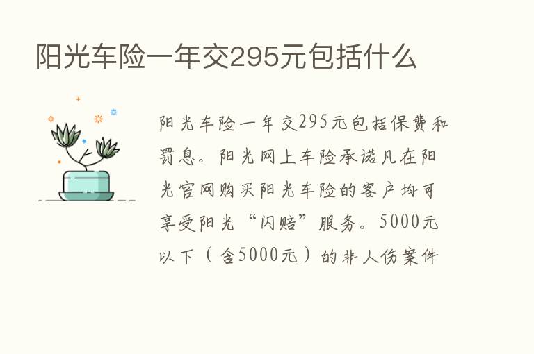 阳光车险一年交295元包括什么