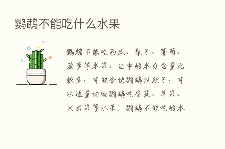 鹦鹉不能吃什么水果