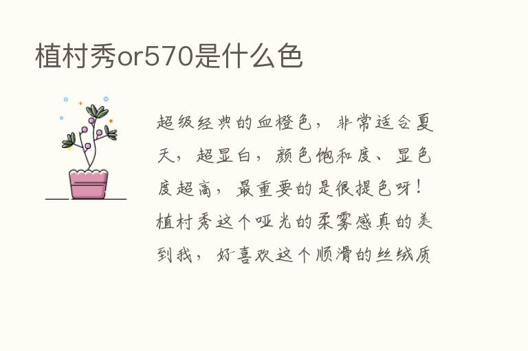 植村秀or570是什么色