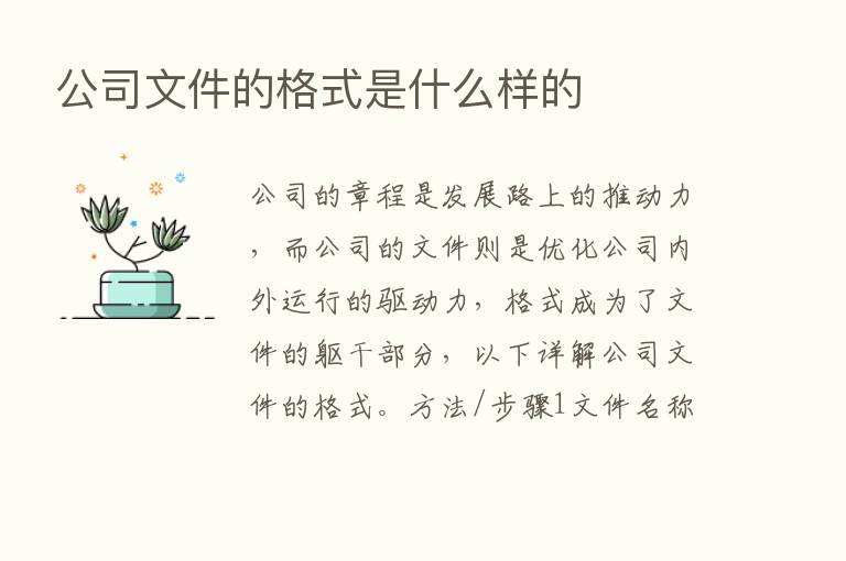 公司文件的格式是什么样的