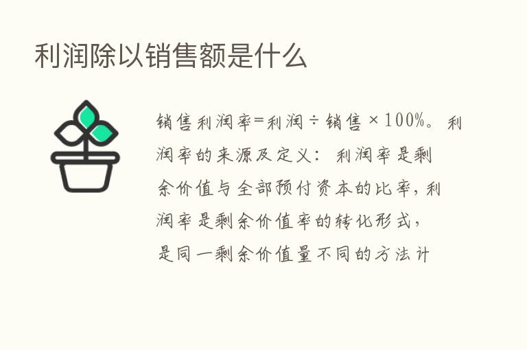 利润除以销售额是什么