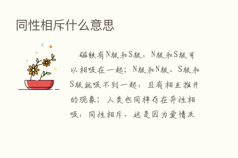 同性相斥什么意思