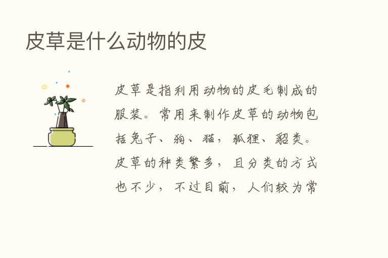 皮草是什么动物的皮