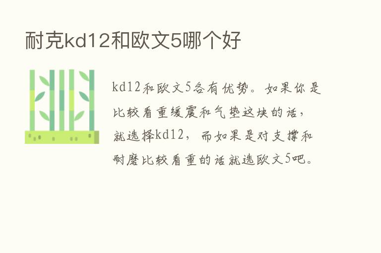 耐克kd12和欧文5哪个好