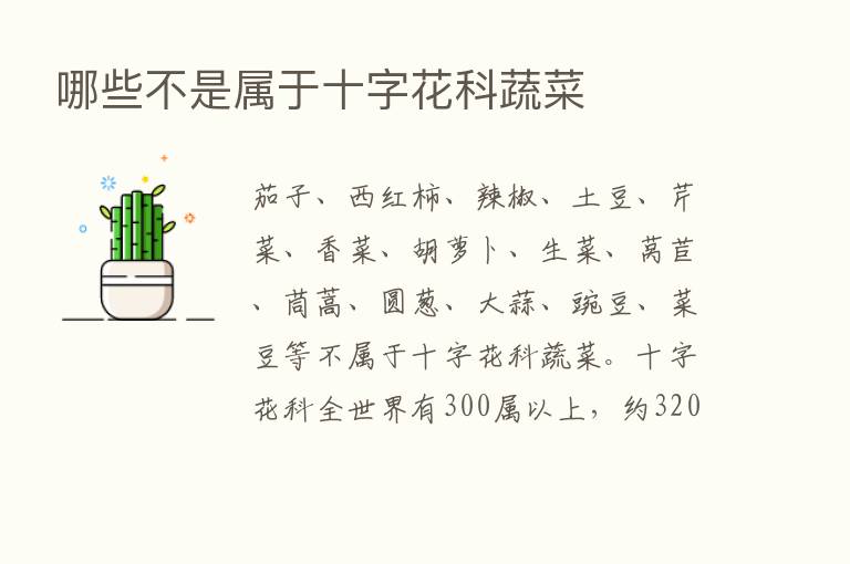 哪些不是属于十字花科蔬菜