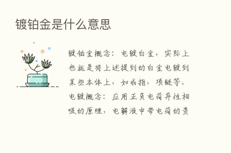 镀铂金是什么意思