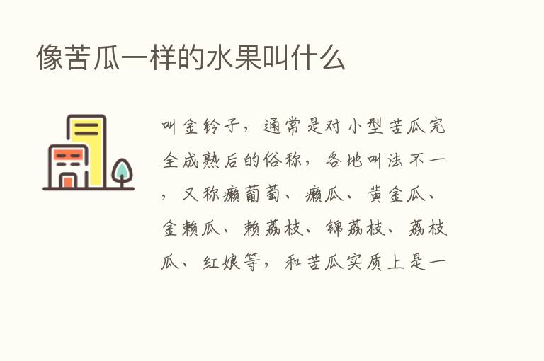 像苦瓜一样的水果叫什么