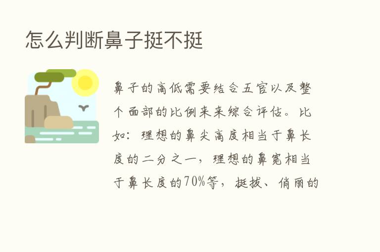 怎么判断鼻子挺不挺