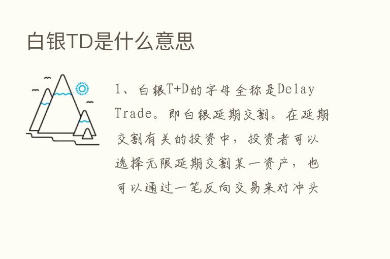 白银TD是什么意思