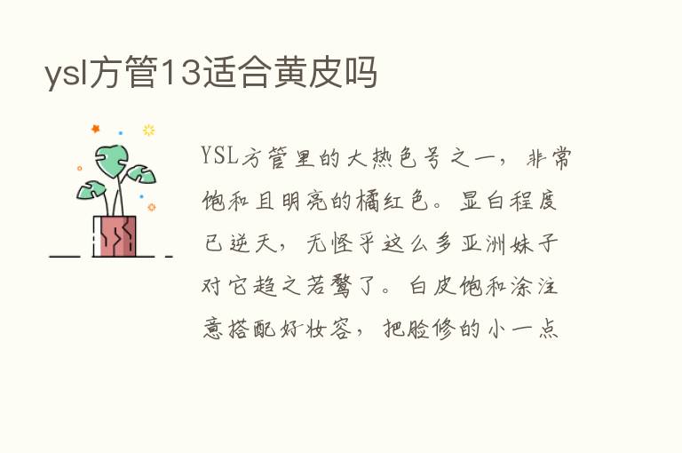 ysl方管13适合黄皮吗