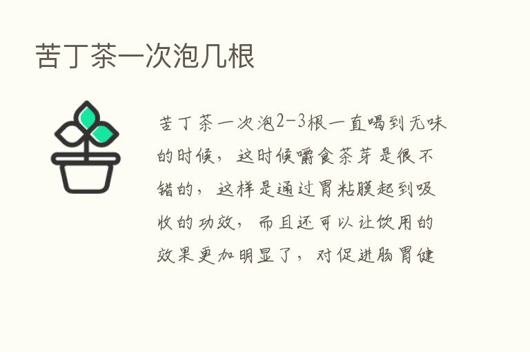 苦丁茶一次泡几根