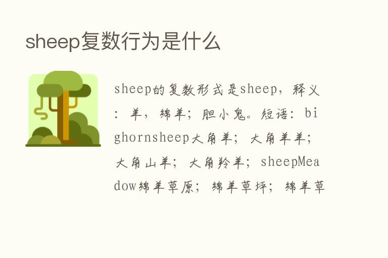 sheep复数行为是什么