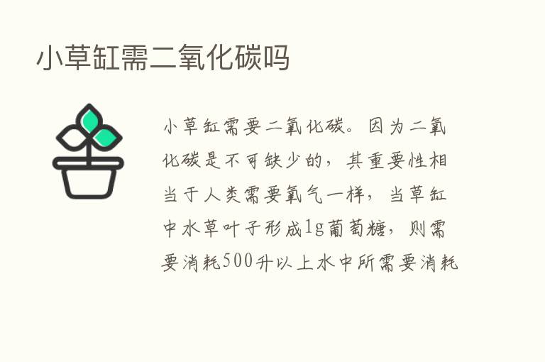 小草缸需二氧化碳吗