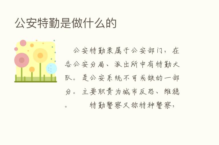 公安特勤是做什么的