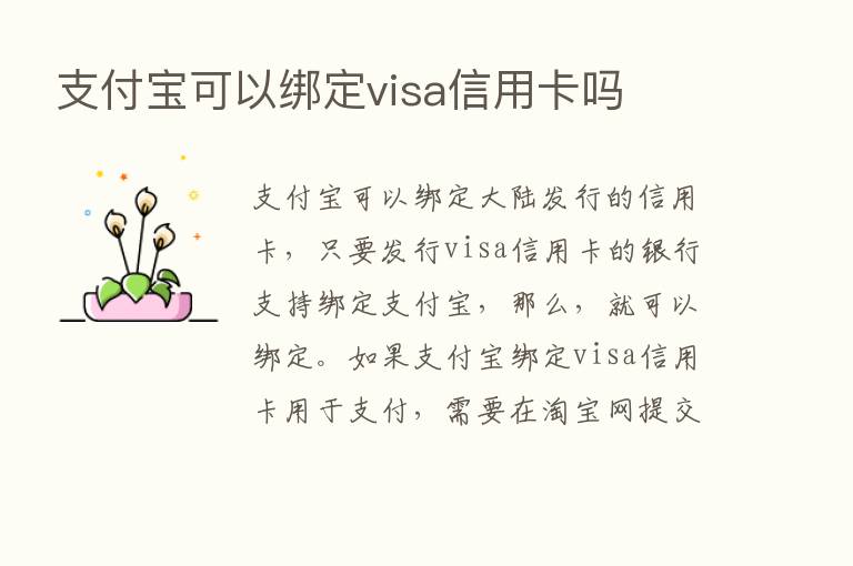 支付宝可以绑定visa信用卡吗